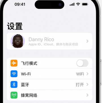 临泉appleID维修服务iPhone设置中Apple ID显示为灰色无法使用 