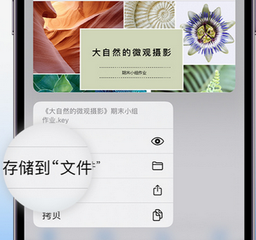 临泉apple维修中心分享iPhone文件应用中存储和找到下载文件