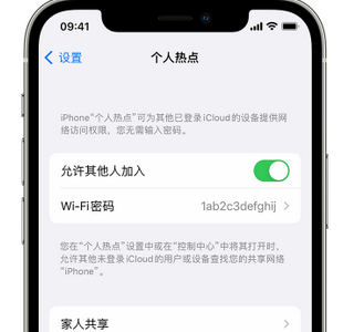 临泉apple服务站点分享iPhone上个人热点丢失了怎么办 