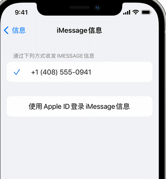 临泉apple维修iPhone上无法正常发送iMessage信息 