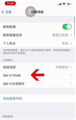 临泉苹果14维修网分享如何给iPhone14的SIM卡设置密码 