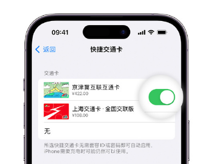 临泉apple维修点分享iPhone上更换Apple Pay快捷交通卡手绘卡面 