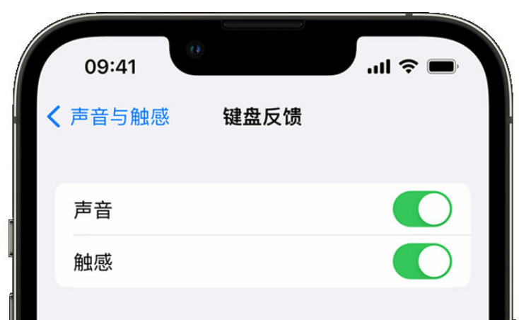 临泉苹果手机维修分享iPhone 14触感键盘使用方法 