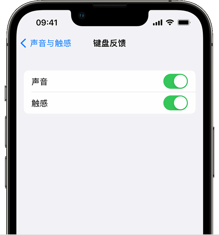 临泉苹果14维修店分享如何在 iPhone 14 机型中使用触感键盘 