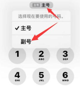 临泉苹果14维修店分享iPhone 14 Pro Max使用副卡打电话的方法 