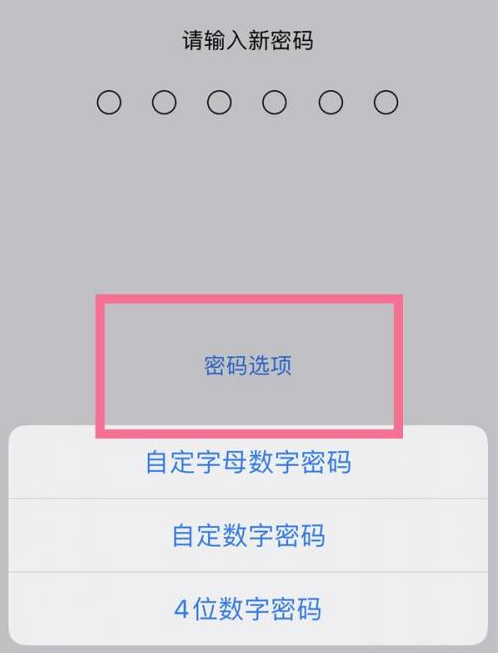 临泉苹果14维修分享iPhone 14plus设置密码的方法 