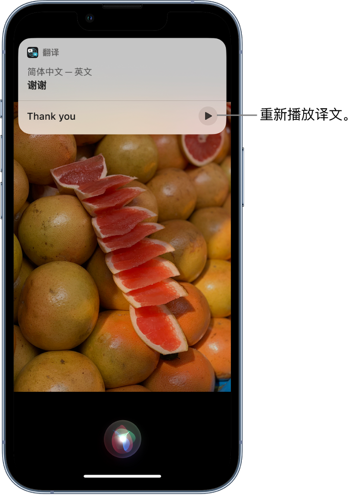 临泉苹果14维修分享 iPhone 14 机型中使用 Siri：了解 Siri 能帮你做什么 