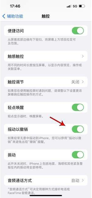 临泉苹果手机维修分享iPhone手机如何设置摇一摇删除文字 