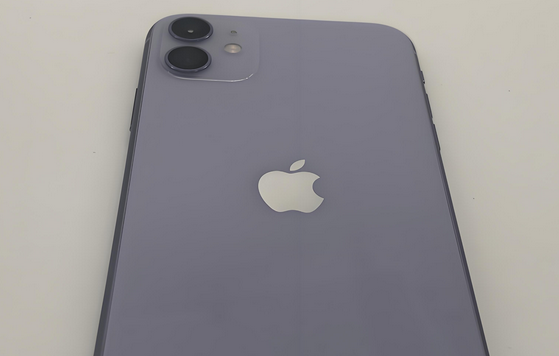 临泉苹果11系统维修分享iPhone11手机系统崩溃无法开机如何解决 